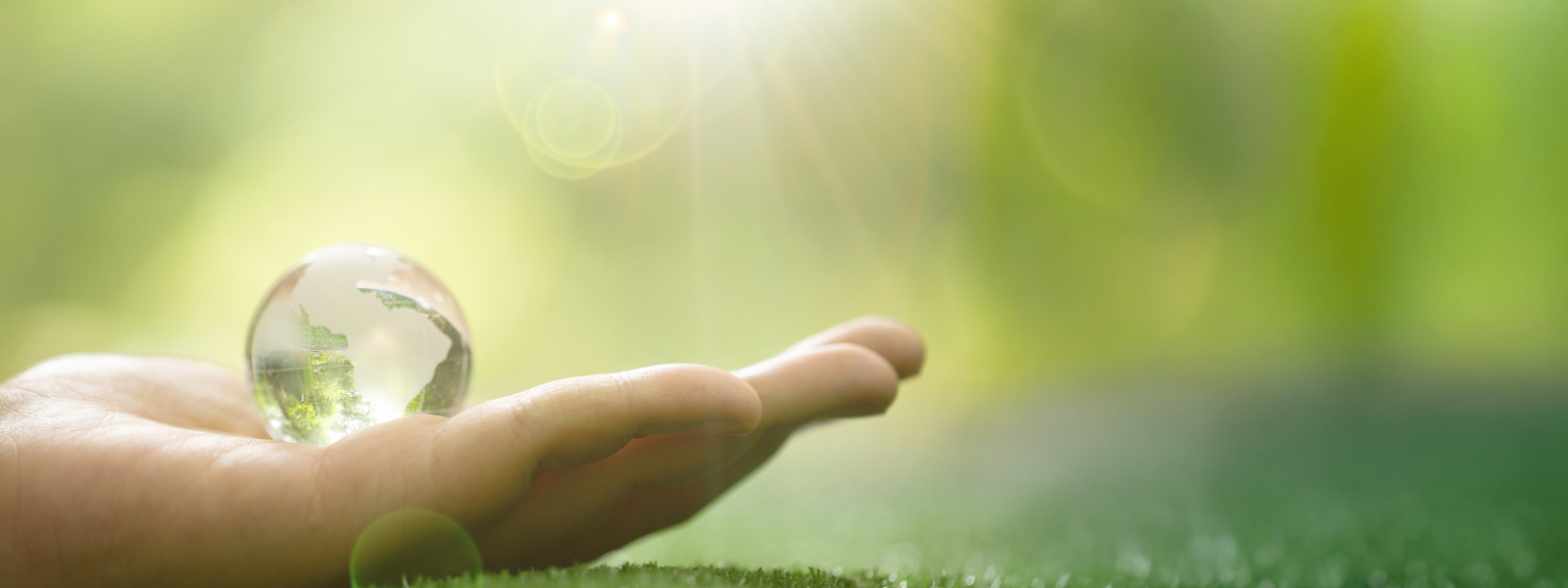 Eco-Friendly Skincare: A Sustainable Path to Beauty