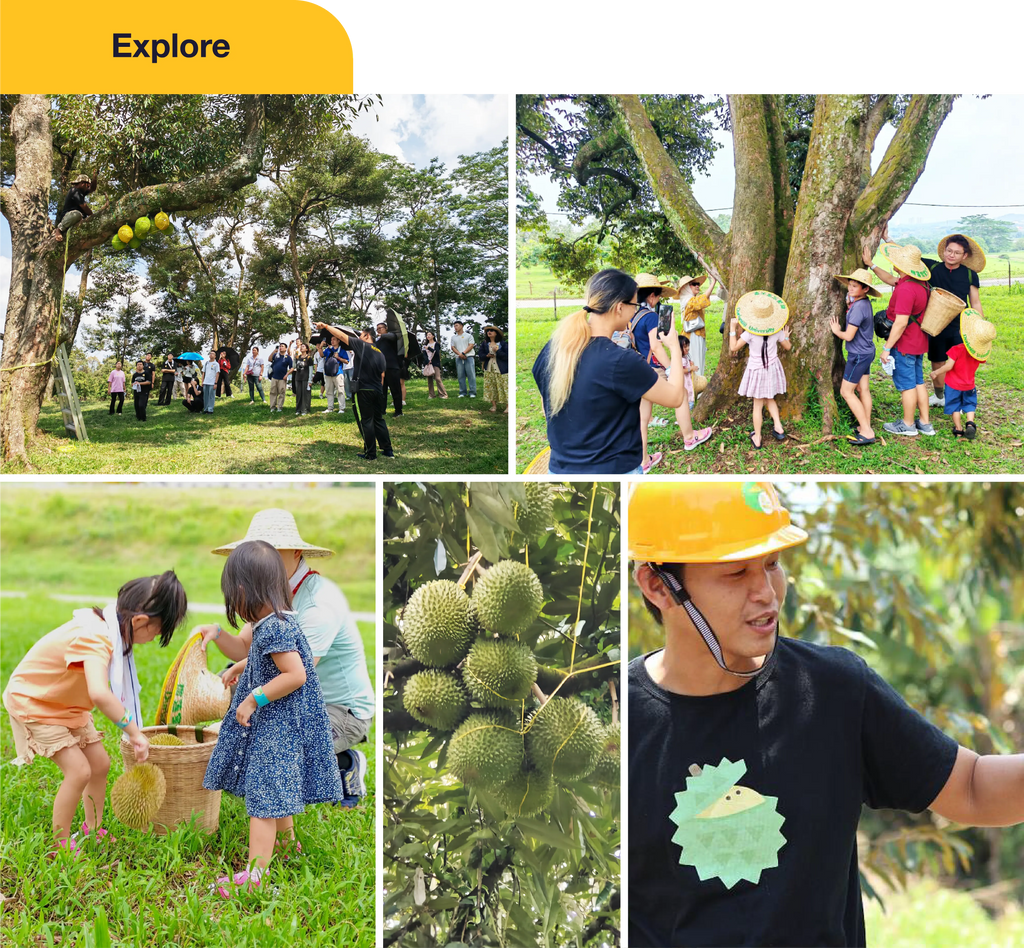 Caring Circles: From Orchard to Radiance (B&B Labs X DurianBB)